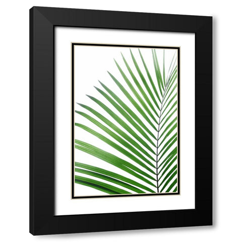 Green Palm Leaf Black Modern Wood Framed Art Print with Double Matting by Pienaar, Kathrin
