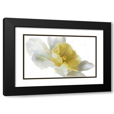 Daffodil Black Modern Wood Framed Art Print with Double Matting by Day, Ruth