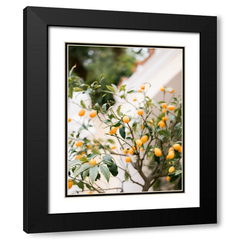Orange Capri Black Modern Wood Framed Art Print with Double Matting by Zwart, Raisa