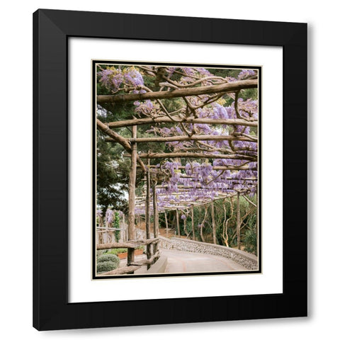 The Lavender Walkway Black Modern Wood Framed Art Print with Double Matting by Zwart, Raisa