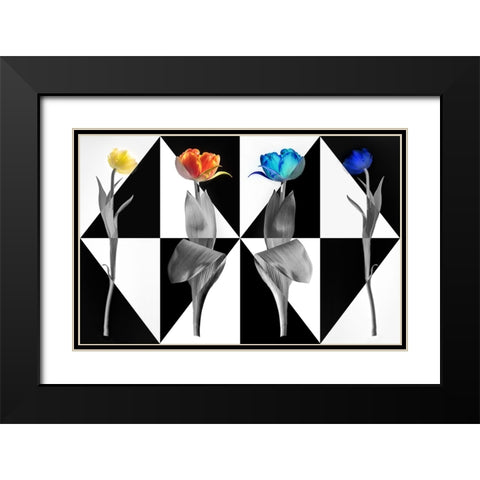 PopArt Tulips Black Modern Wood Framed Art Print with Double Matting by Ruckert, Stephan