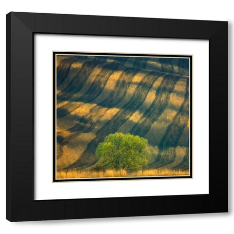 Tree ... Black Modern Wood Framed Art Print with Double Matting by Browko, Krzysztof