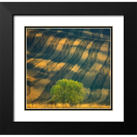 Tree ... Black Modern Wood Framed Art Print with Double Matting by Browko, Krzysztof