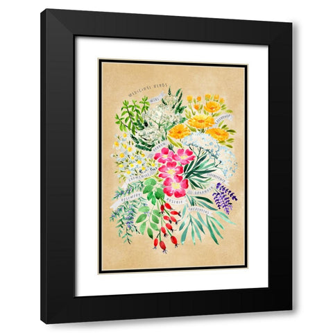 Medicinal herbs in vintage sepia Black Modern Wood Framed Art Print with Double Matting by Laiz Blursbyai, Rosana