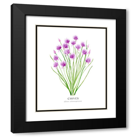Chives I Black Modern Wood Framed Art Print with Double Matting by Laiz Blursbyai, Rosana