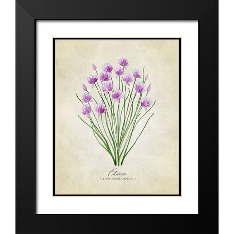 Chives vintage Black Modern Wood Framed Art Print with Double Matting by Laiz Blursbyai, Rosana