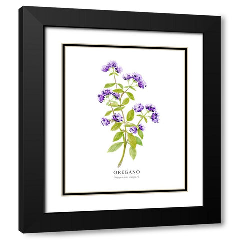 Oregano I Black Modern Wood Framed Art Print with Double Matting by Laiz Blursbyai, Rosana