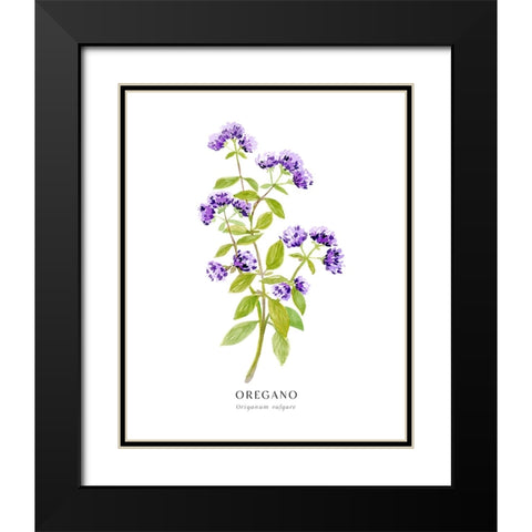 Oregano I Black Modern Wood Framed Art Print with Double Matting by Laiz Blursbyai, Rosana