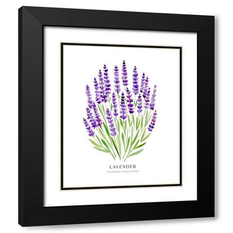 Lavender I Black Modern Wood Framed Art Print with Double Matting by Laiz Blursbyai, Rosana