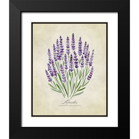 Lavender vintage Black Modern Wood Framed Art Print with Double Matting by Laiz Blursbyai, Rosana