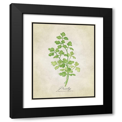 Parsley vintage Black Modern Wood Framed Art Print with Double Matting by Laiz Blursbyai, Rosana