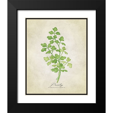 Parsley vintage Black Modern Wood Framed Art Print with Double Matting by Laiz Blursbyai, Rosana