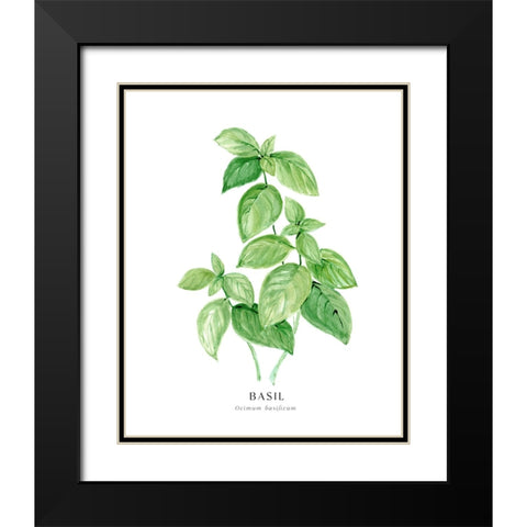 Basil I Black Modern Wood Framed Art Print with Double Matting by Laiz Blursbyai, Rosana