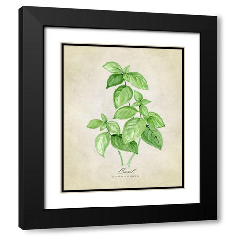 Basil vintage Black Modern Wood Framed Art Print with Double Matting by Laiz Blursbyai, Rosana