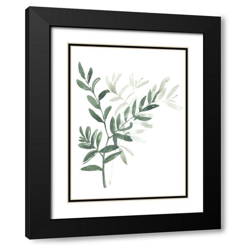 Watercolor laurel branch Black Modern Wood Framed Art Print with Double Matting by Laiz Blursbyai, Rosana