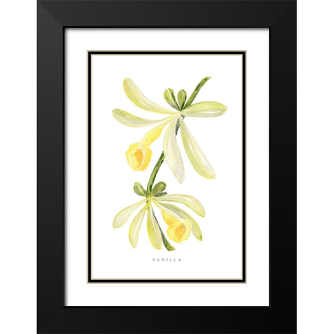 Watercolor vanilla orchid Black Modern Wood Framed Art Print with Double Matting by Laiz Blursbyai, Rosana