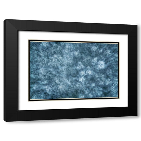 Winter Forest Black Modern Wood Framed Art Print with Double Matting by Krier, Guy
