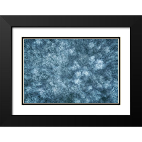 Winter Forest Black Modern Wood Framed Art Print with Double Matting by Krier, Guy