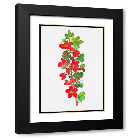 Japanese quince or Chaenomeles japonica botanical painting Black Modern Wood Framed Art Print with Double Matting by Kata Botanical