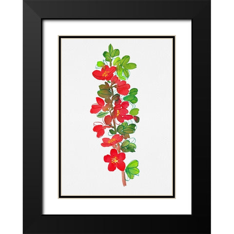 Japanese quince or Chaenomeles japonica botanical painting Black Modern Wood Framed Art Print with Double Matting by Kata Botanical