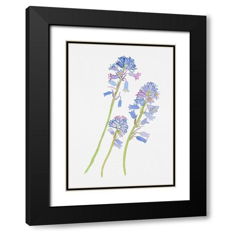 Spanish bluebell or Hyacinthoides hispanica botanical painting Black Modern Wood Framed Art Print with Double Matting by Kata Botanical