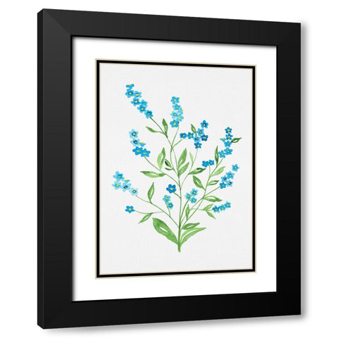 Wood forget-me-not or Myosotis sylvatica botanical painting Black Modern Wood Framed Art Print with Double Matting by Kata Botanical