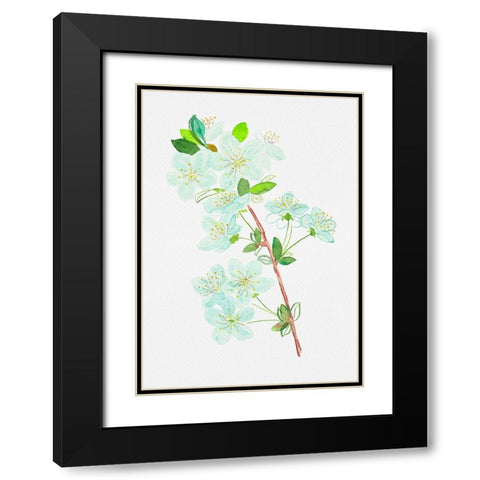 Wild cherry or Prunus avium botanical painting Black Modern Wood Framed Art Print with Double Matting by Kata Botanical