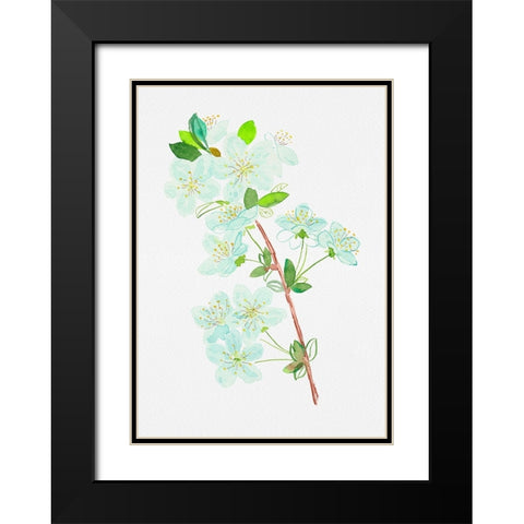 Wild cherry or Prunus avium botanical painting Black Modern Wood Framed Art Print with Double Matting by Kata Botanical