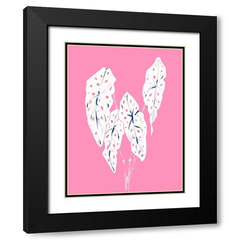 Begonia Maculata Pink Black Modern Wood Framed Art Print with Double Matting by Gulina, Francesco