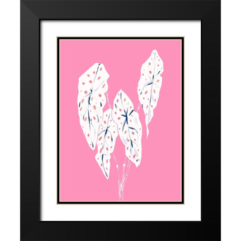 Begonia Maculata Pink Black Modern Wood Framed Art Print with Double Matting by Gulina, Francesco