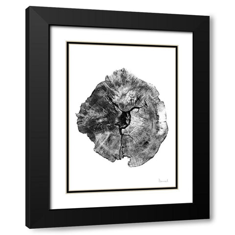 Oak Log Black Modern Wood Framed Art Print with Double Matting by Hobday, Dan