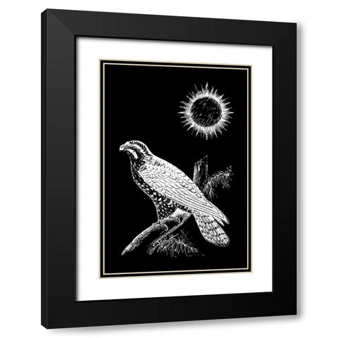 Falcon Peregrine Black Modern Wood Framed Art Print with Double Matting by Abdel Aal, Hussein