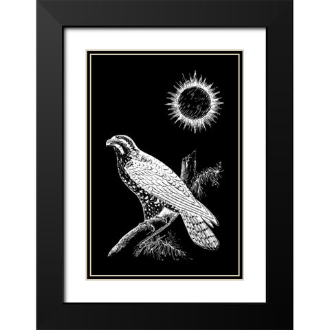 Falcon Peregrine Black Modern Wood Framed Art Print with Double Matting by Abdel Aal, Hussein