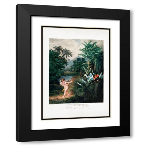 Cupid Inspiring Plants with Love from The Temple of Flora (1807) Black Modern Wood Framed Art Print with Double Matting by Pictufy
