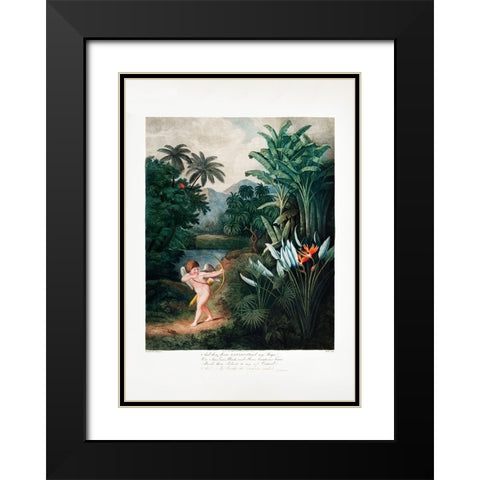 Cupid Inspiring Plants with Love from The Temple of Flora (1807) Black Modern Wood Framed Art Print with Double Matting by Pictufy