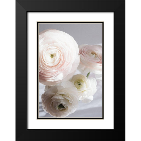 Soft Ranunculus Black Modern Wood Framed Art Print with Double Matting by uplusmestudio