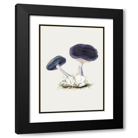 Vintage Violet Webcap Mushroom Black Modern Wood Framed Art Print with Double Matting by Pictufy