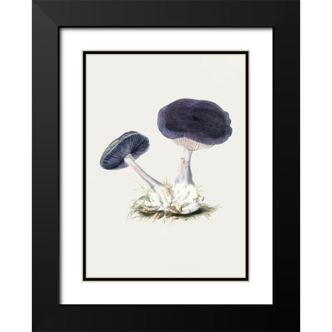 Vintage Violet Webcap Mushroom Black Modern Wood Framed Art Print with Double Matting by Pictufy