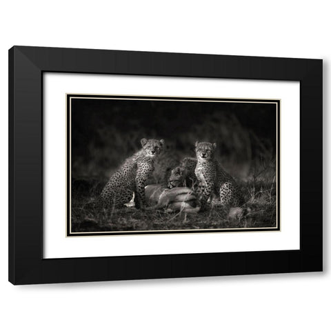 Cheetah Cubs Black Modern Wood Framed Art Print with Double Matting by Moreno, Mario