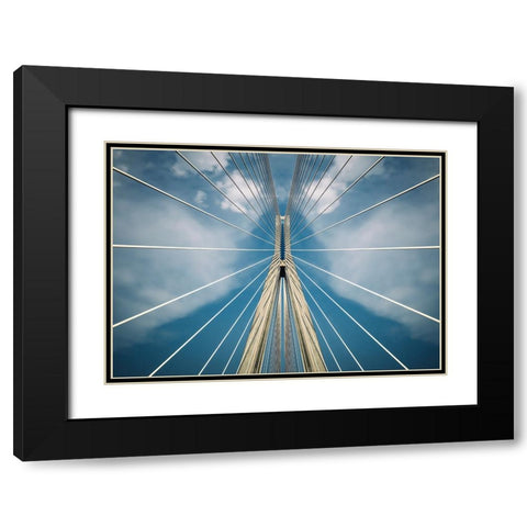 Spider Black Modern Wood Framed Art Print with Double Matting by T, Nico