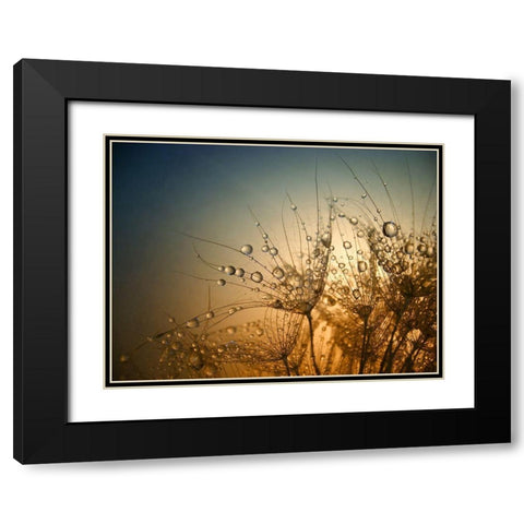Tender Is The Night Black Modern Wood Framed Art Print with Double Matting by Lazarov, Dimitar