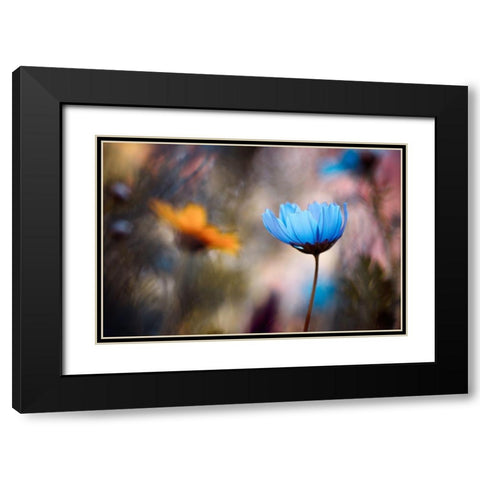 Do You Wanna Dance With Me Black Modern Wood Framed Art Print with Double Matting by Bravin, Fabien