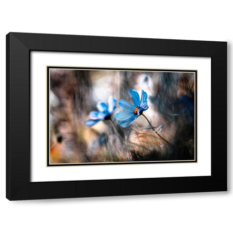 The Two Of Us Black Modern Wood Framed Art Print with Double Matting by Bravin, Fabien