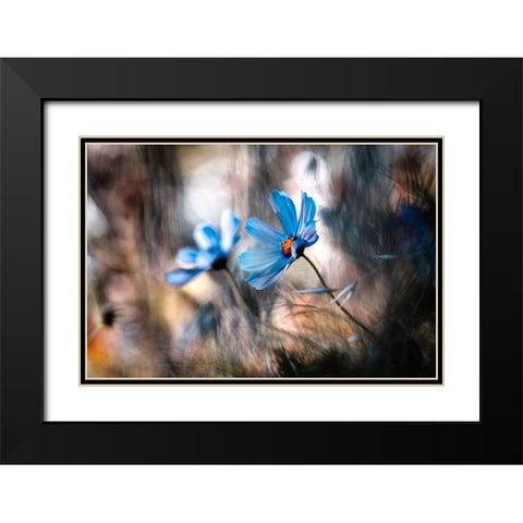 The Two Of Us Black Modern Wood Framed Art Print with Double Matting by Bravin, Fabien