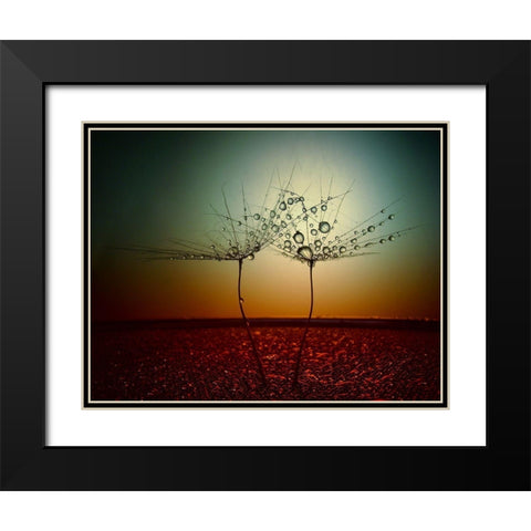 Fire And Water Black Modern Wood Framed Art Print with Double Matting by Lazarov, Dimitar