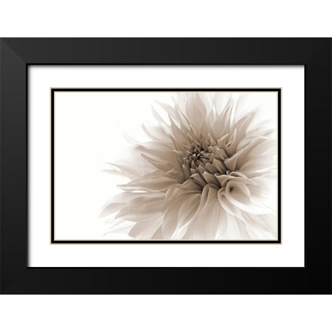 Dignified Black Modern Wood Framed Art Print with Double Matting by Wettstein, Priska