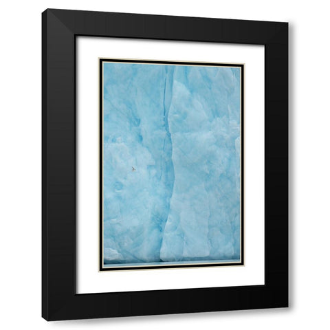 Kittiwake Flying Into The Blue Black Modern Wood Framed Art Print with Double Matting by Adams, Yves
