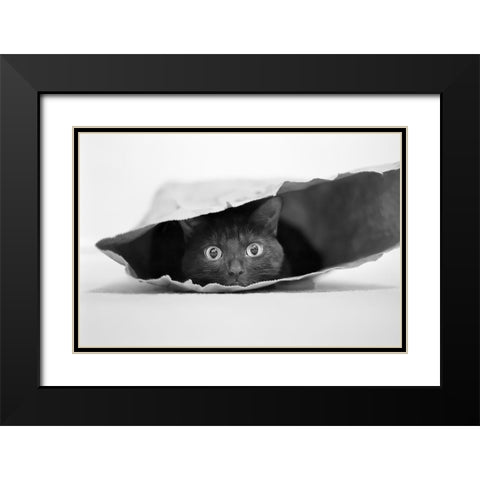 Cat In A Bag Black Modern Wood Framed Art Print with Double Matting by Holthuysen, Jeremy
