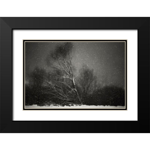 Winter Black Modern Wood Framed Art Print with Double Matting by PhotoCosma