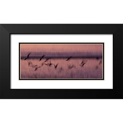 Flight Black Modern Wood Framed Art Print with Double Matting by Abildgren, Rasmus